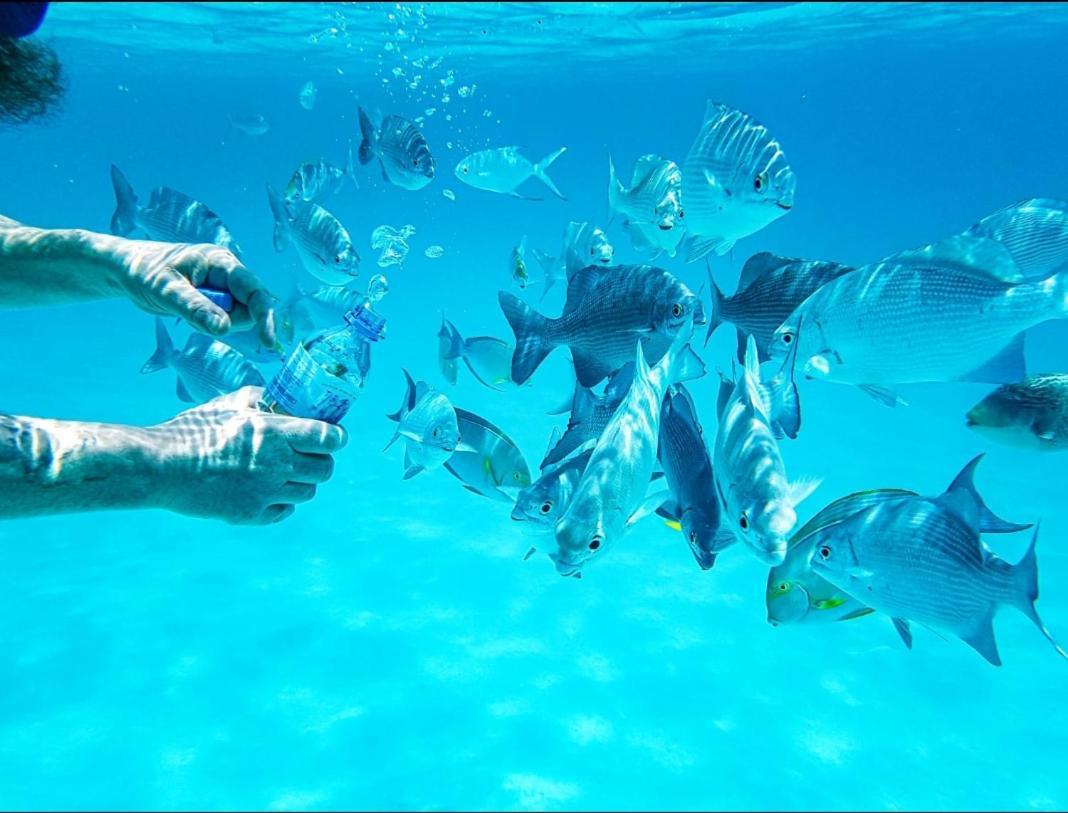 فندق راس فيليدج Rasdhoo المظهر الخارجي الصورة